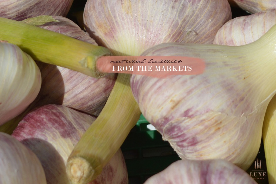 garlic-provence-markets