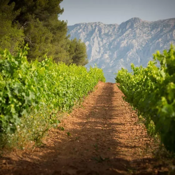 Famille Sumeire Vignobles of Provence