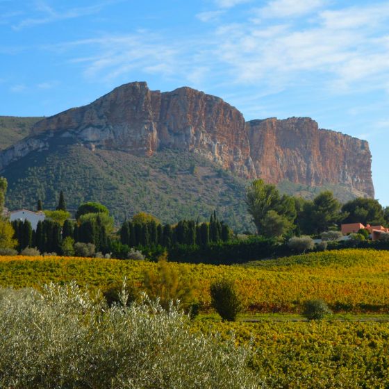 Luxe Provence Wine Tasting Guide to Cassis