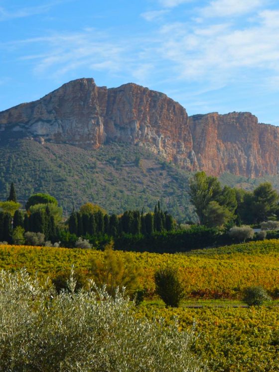 Luxe Provence Wine Tasting Guide to Cassis