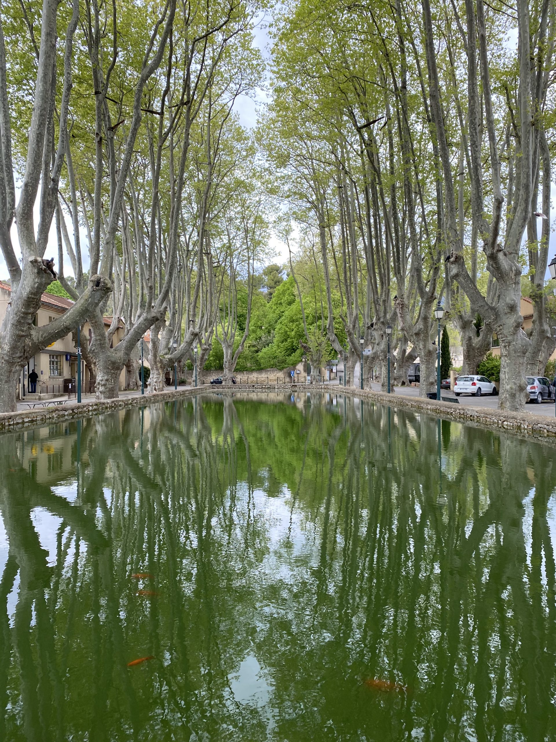 cucuron luberon