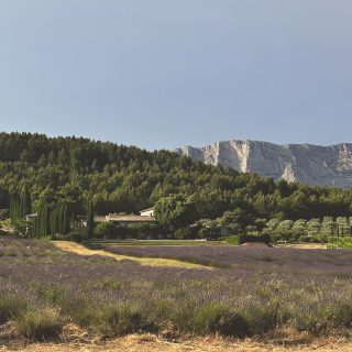 In the Atelier: Aurore Pélisson