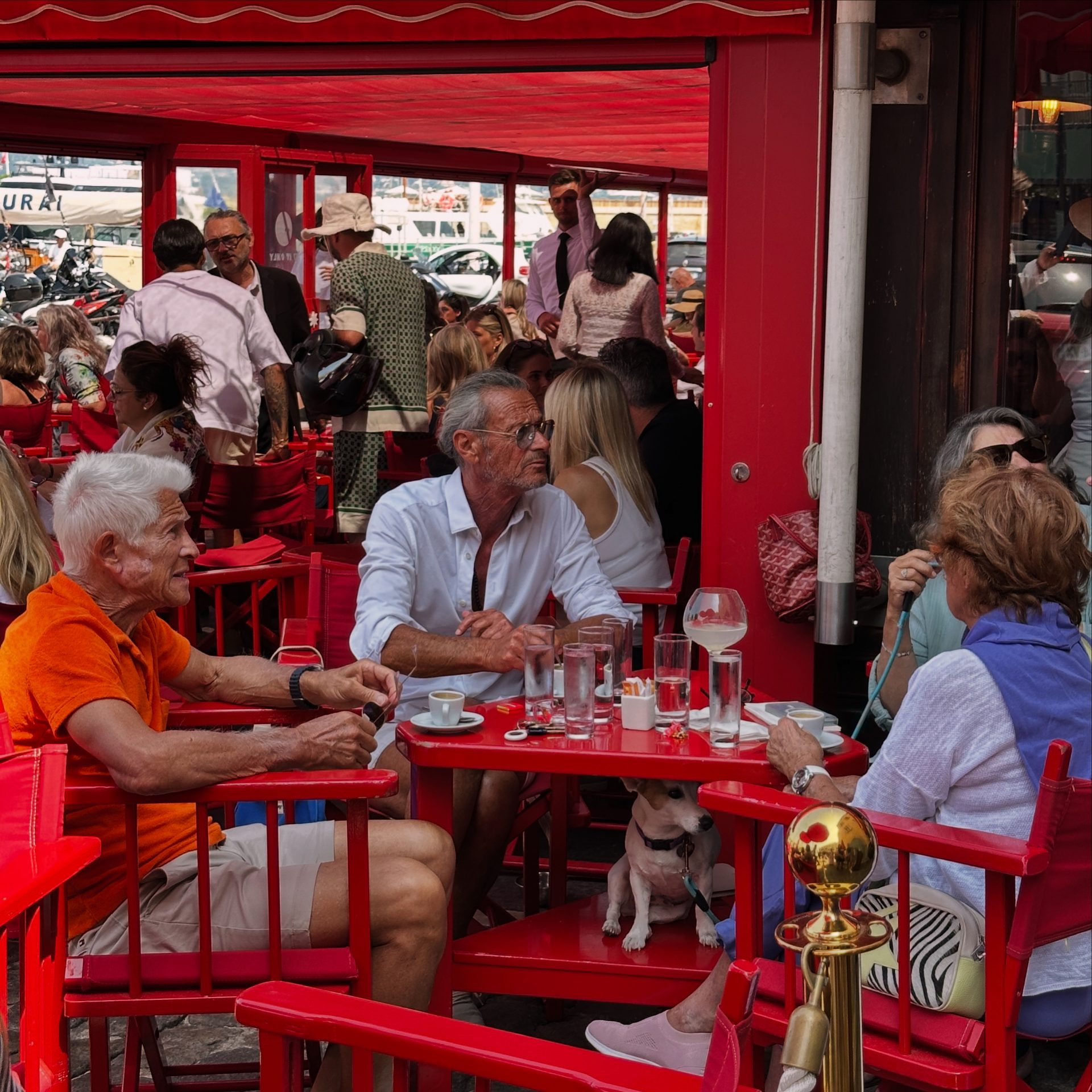 senequier saint tropez